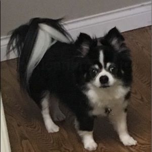 Meet your Posher, Angela